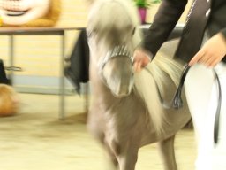 IMG_5316_web